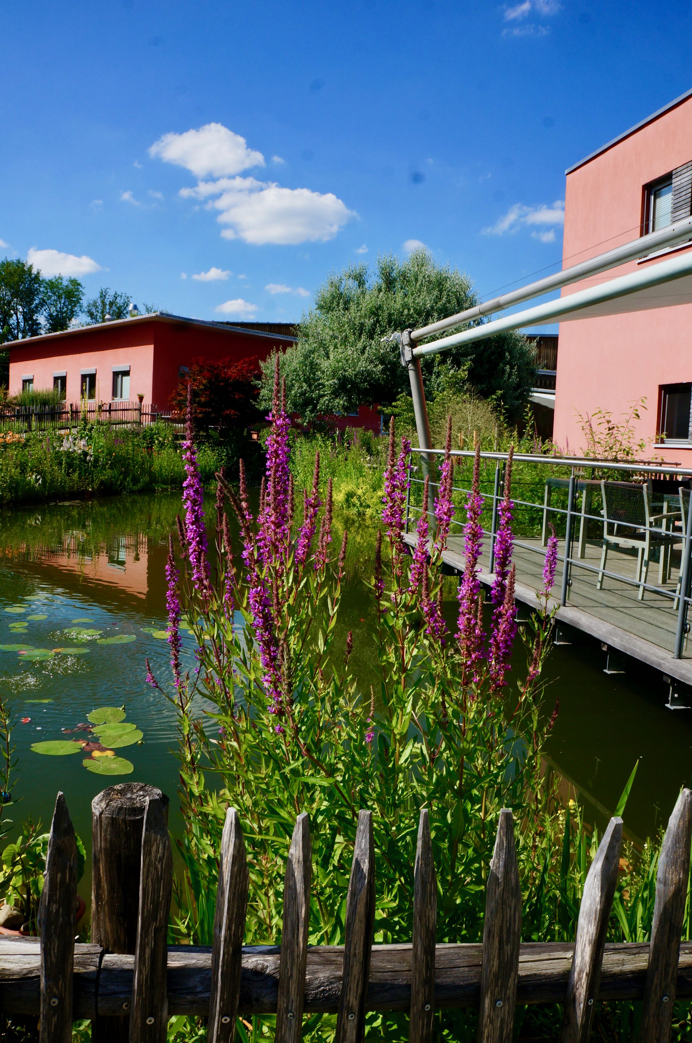 Besuch im Weleda-Heilpflanzengarten