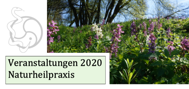 Veranstaltungen 2020 sind online