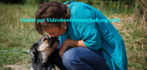 Online Infoabend Tierkommunikation