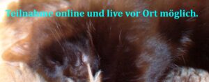 Aufbauseminar Verstorbene Tiere