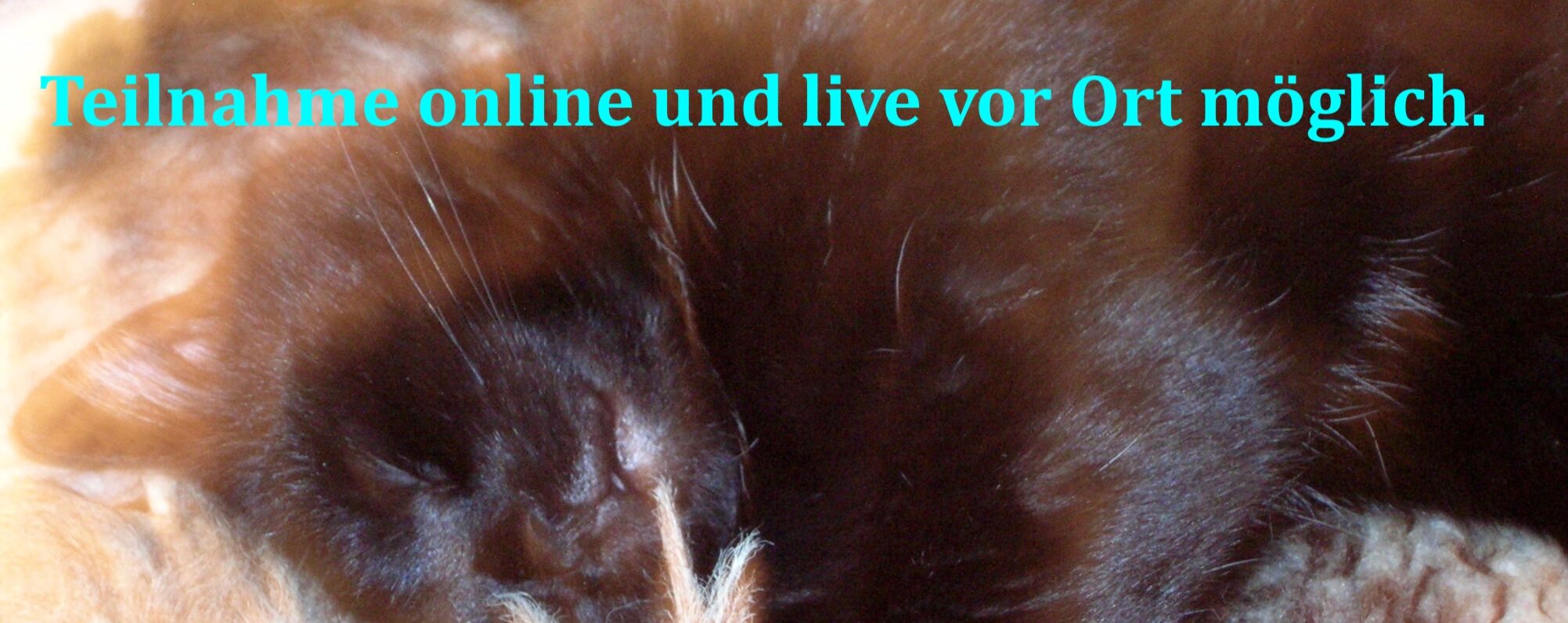 Aufbauseminar Verstorbene Tiere