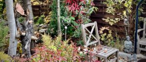 Gartenseminar im Herbst und zum Winteranfang