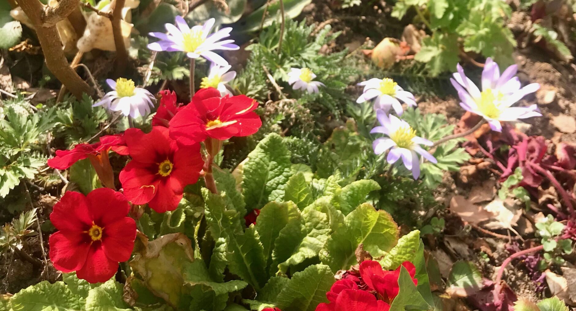 Gartenseminar im Frühling