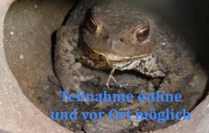 Tierkommunikation üben und lernen - Gespräche mit Reptilien