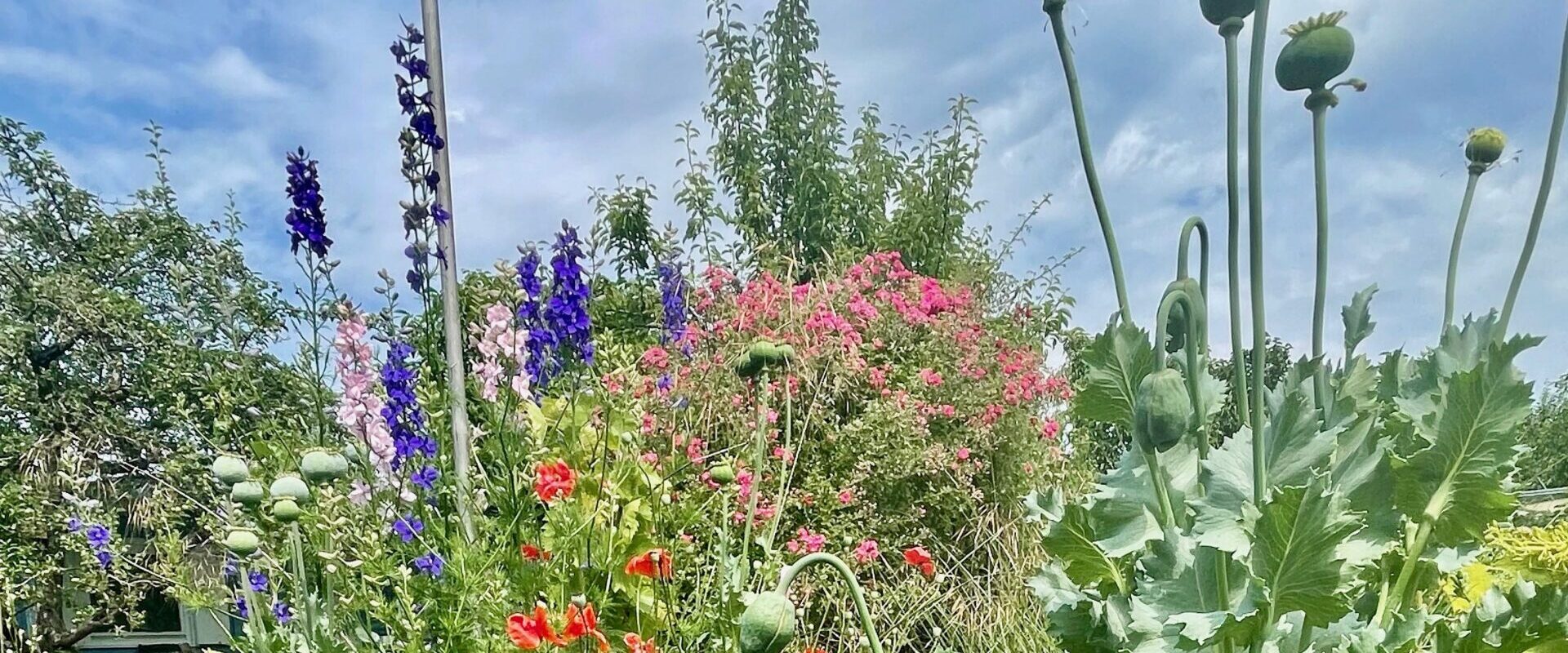 Gartenseminar - Dein Garten und Du