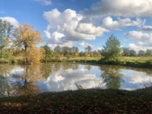 Pflanzenspaziergang - raus zu den Pflanzen im Herbst.