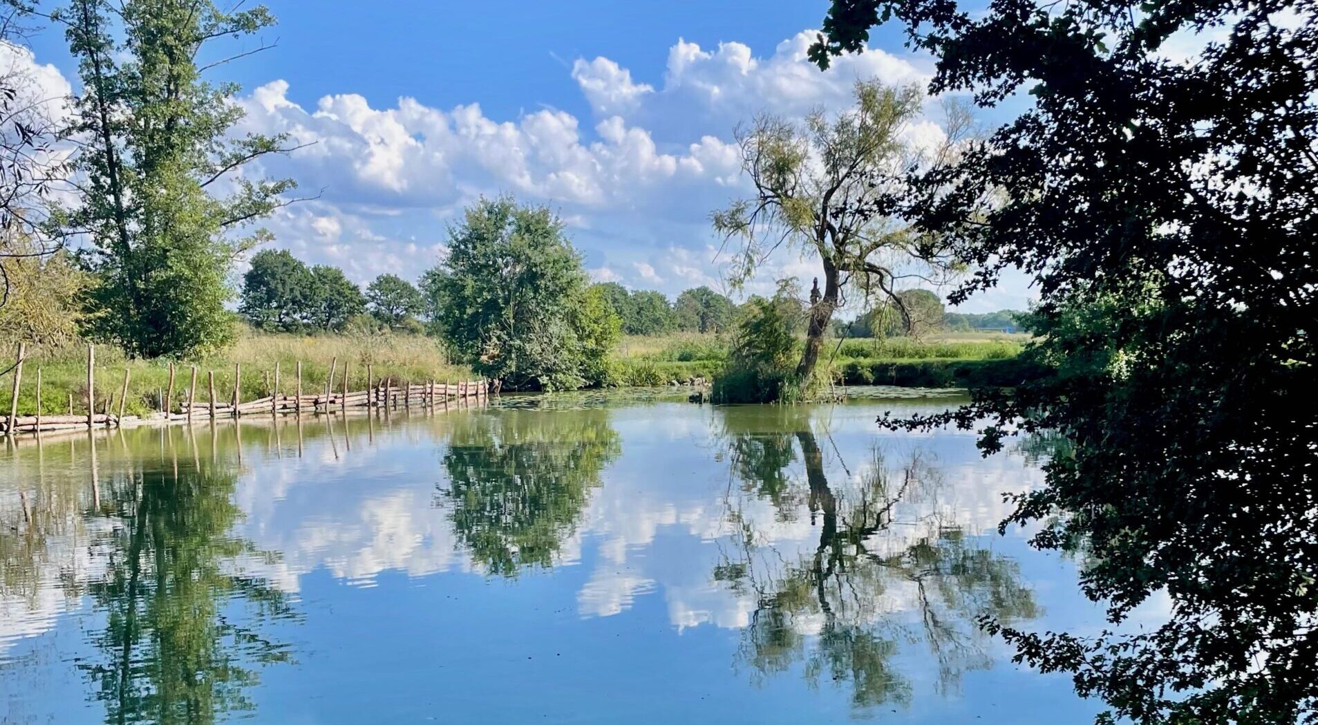 Pflanzenspaziergang im Herbst