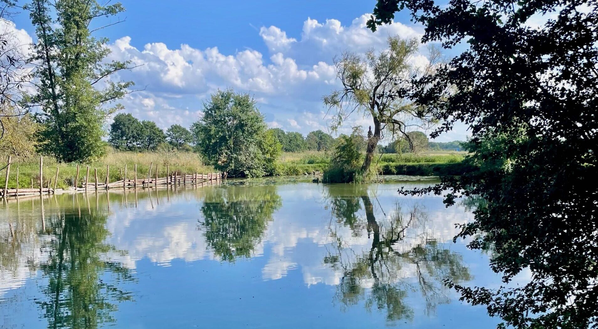 Pflanzenspaziergang im Herbst