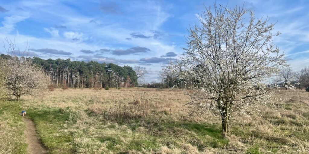Pflanzenseminar-Samstag im März
