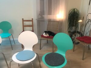 Meine Seminare 2026.