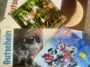 Suchst Du ein Weihnachtsgeschenk?